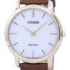 Citizen Eco-Drive AR1133-15A Men's Watch