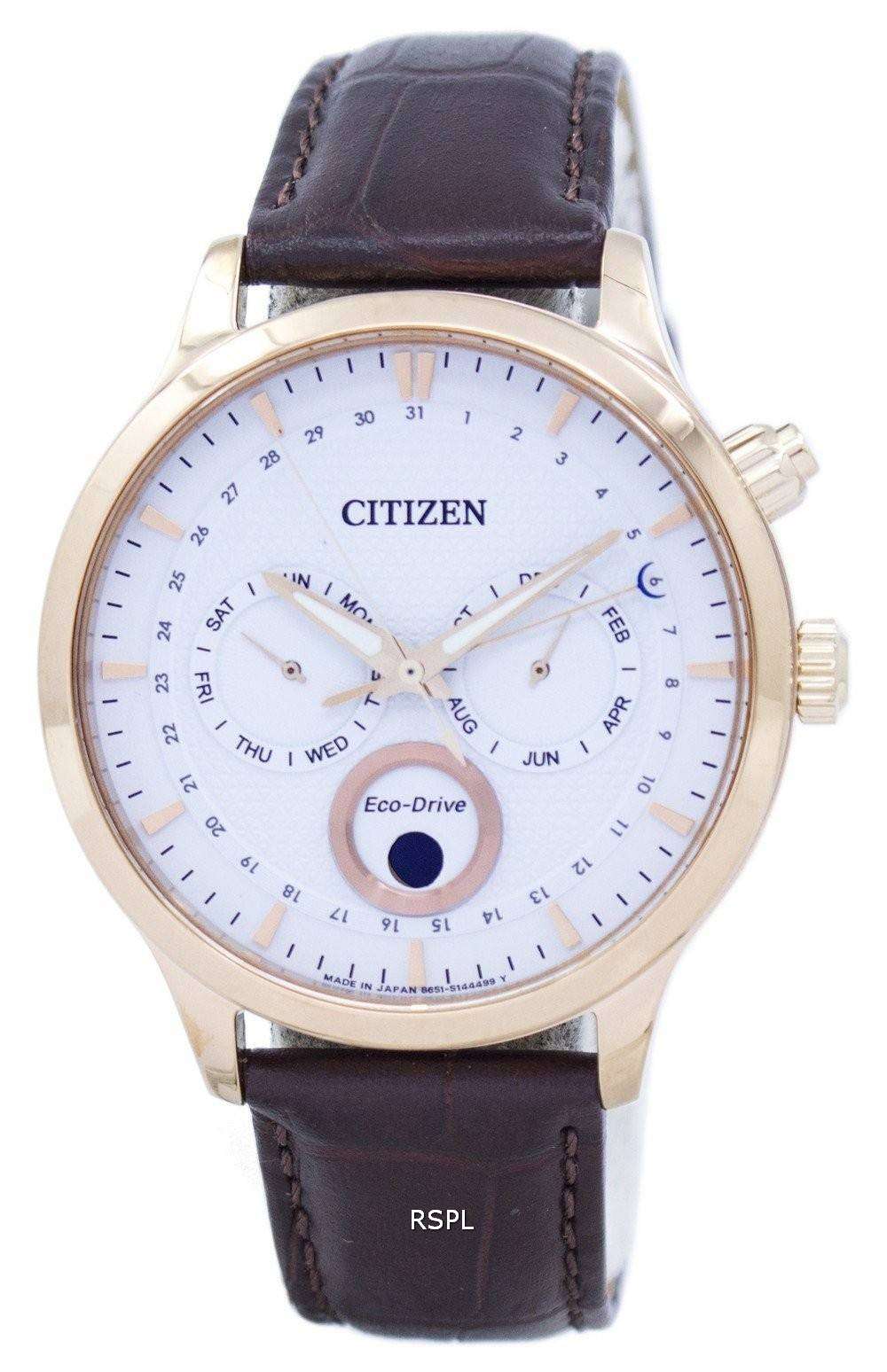 Moon Phase Citizen 22 Citizen Eco-Drive Moon Phase Japan Made