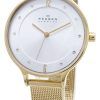 Skagen Anita Gold Tone Mesh Bracelet Crystallized SKW2150 Women's Watch