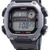 Casio DW-291H-1AV Quartz 200M Men's Watch