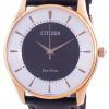 Citizen Collection Black Dial Eco-Drive BJ6482-04E Men's Watch
