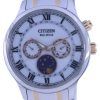 Citizen Moon Phase Silver Dial Two Tone Stainless Steel Dial Eco-Drive AP1054-80A Mens Watch