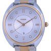 Fossil Gabby White Dial Two Tone Stainless Steel Quartz ES5072 Womens Watch