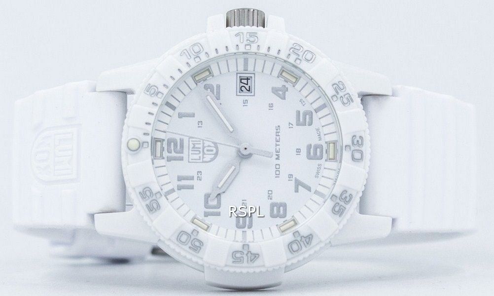 Luminox Leatherback Sea Turtle 0300 Series Quartz XS.0307.WO Mens Watch