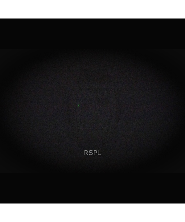 Ingersoll The Challenger PU Rubber Strap Silver Skeleton Dial Automatic I12302 Men's Watch 2 Ingersoll The Challenger PU Rubber Strap Silver Skeleton Dial Automatic I12302 Men's Watch